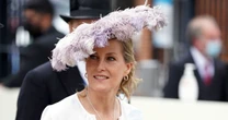 'Sophie Wessex is safe pair of hands royals need in time of distress and disharmony'