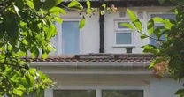 Man discovers creepy 'hidden room' in his house that he didn't know existed