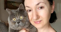 'Permanently startled' cat with wonky legs licked back to health by family pet