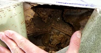 Family win £2,500 after being left to live in mould and mice infested home