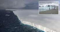 World's largest iceberg on collision course with British island