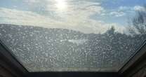 Storm Eowyn leaves public baffled as strange 'white dust' appears on windows of cars and homes