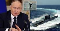 Navy chiefs thought Putin drone was spying on UK subs - but it was a farting whale