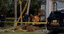 Tree trimmer dragged into wood chipper and killed in horrifying accident