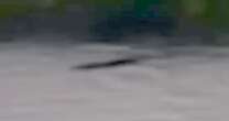 Loch Ness Monster hunter catches humped 'creature' on camera – 'only possibility is Nessie'