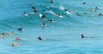 Sydney shark sighting horror as tourist trap beach evacuated and swimmers flee water