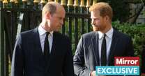 Prince William 'still very upset by Harry's behaviour as reunion plunged into doubt'