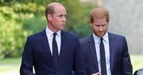 Prince William and Harry's inheritance - one brother given more moneyPrince William