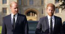 Prince William's three-word code to brother Harry that left prince stunned