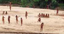 World's largest 'uncontacted tribe' in Amazon kills two lumberjacks in bow and arrow attack