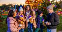 Win a Santa Sleepover for four at Alton Towers Resort