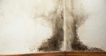 Key health symptoms that could be warning you there is mould hidden in your homeMould