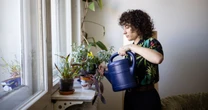 Common mistake that's killing your houseplants and easy way to fix it