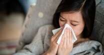 Simple trick ensures you can unblock your nose on-the-go during flu season