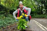 Bloke's bizarre way to draw attention to crumbling roads by filling potholes with flowers