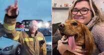 Woman leaves TV on for dog to go to shops - minutes later firefighters are at her doorVIDEOFire Service