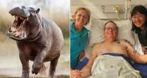 'I was trapped in hippo's jaw and tossed like rag doll on canoe trip - I thought I'd die'