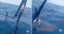 Dramatic moment kayaker in La Palma bravely fights off massive shark in tourist hotspot