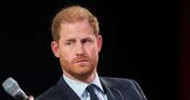 Prince Harry risks raising eyebrows by wading into politics and issuing government plea