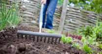 Urgent warning for gardeners to wash their produce after 'forever chemical' found in soil