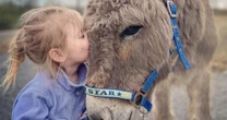 Owner of donkey called Winston stolen just before Christmas fears he may 'die of heartbreak'