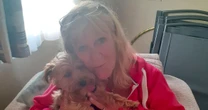 Retired postal worker lost use of her arm in XL Bully attack that killed beloved dogXL Bully