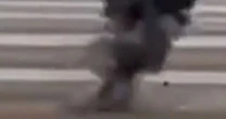 Terrifying moment bomb squad carry out explosion at beach after 'device' found in street