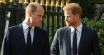Prince Harry and brother William 'never the friends we were led to believe'