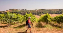 opinionGet out and about with our step-by-step beginner's guide to National Walking Month