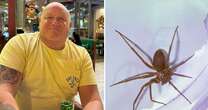 'It was just a bite from a tiny spider on holiday - but my flesh started rotting off'