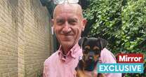 Real life Ace Ventura warns rise in violent gangs abducting pets - and mistake owners keep makingAnimals