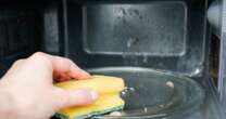 19p hack that will rid your microwave of smells and leave it spotlessCleaning