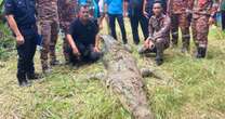 Huge crocodile kills fisherman and keeps body in jaws as it's shot five times