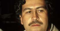 Notorious drug lord Pablo Escobar's hippos finally sentenced to death