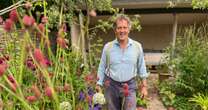 Monty Don’s ‘unbeatable’ three step routine to rid your garden of slugs and snailsGardening