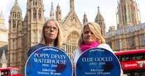 Mums whose daughters were murdered by ex-partners hope OBEs shine light on injustice