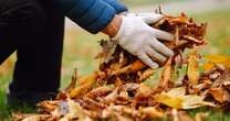 Monty Don’s ‘incredibly clever’ hack to get rid of fallen leaves - and it’s free