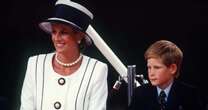 Princess Diana 'always had major concern about Harry – and it's come true' warns expert