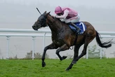 Horse who recovered from broken leg can be star of the show at York
