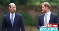 Prince William's 'motive for bold Prince Harry birthday move through clenched teeth'Prince Harry