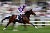 'I fancy 50-1, 20-1 and 16-1 shots on day one' – Jason Heavey's Glorious Goodwood tips