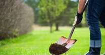 Gardeners urged to bury a bucket in their garden for very important reasonGardening