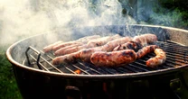 Surprising object will keep flies away from your summer BBQ - with no need for bug spray