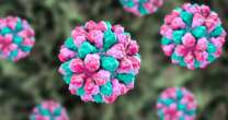 Norovirus cases soar by 75 per cent compared to 5-year average - 3 reasons whyNorovirus