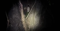 Never-before-seen creepy creature with 'blade-shaped fangs' discovered for first time