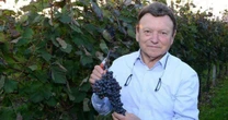 Vineyard workers stunned after boss dies and leaves them entire winery in his willWine