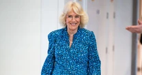 Queen Camilla hails 'wonderful' charity work of kids' nurses during hospital visitThe Queen