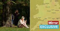 'Indian summer' forecast in UK with balmy 18C lasting FIVE days as weather maps turn orange