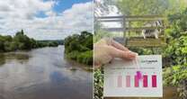 Toxic cocktail of chemicals and drugs including antidepressants polluting UK riversPollution