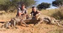 African expert begs Britain to help stop 'colonial practice' of trophy hunting